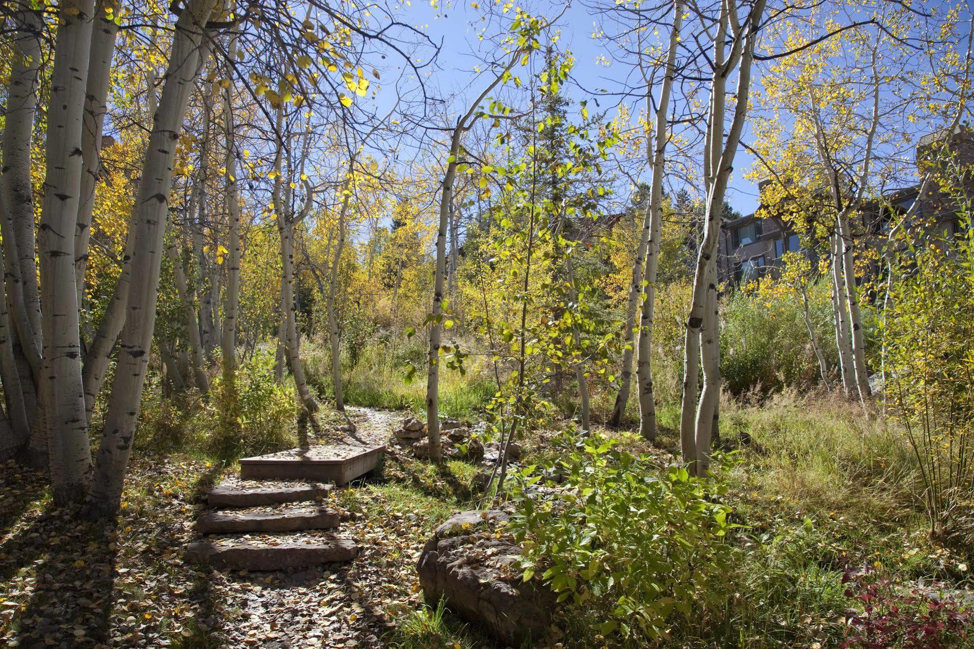 Terracehouse - Coraltree Residence Collection Snowmass Village Exterior foto